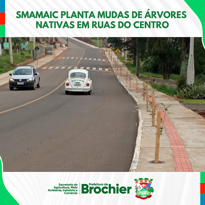 smamaic-planta-mudas-de-arvores-nativas-em-ruas-do-centro