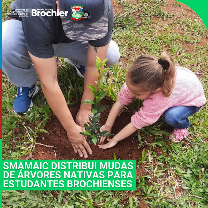 smamaic-distribui-mudas-de-arvores-nativas-para-estudantes-brochienses