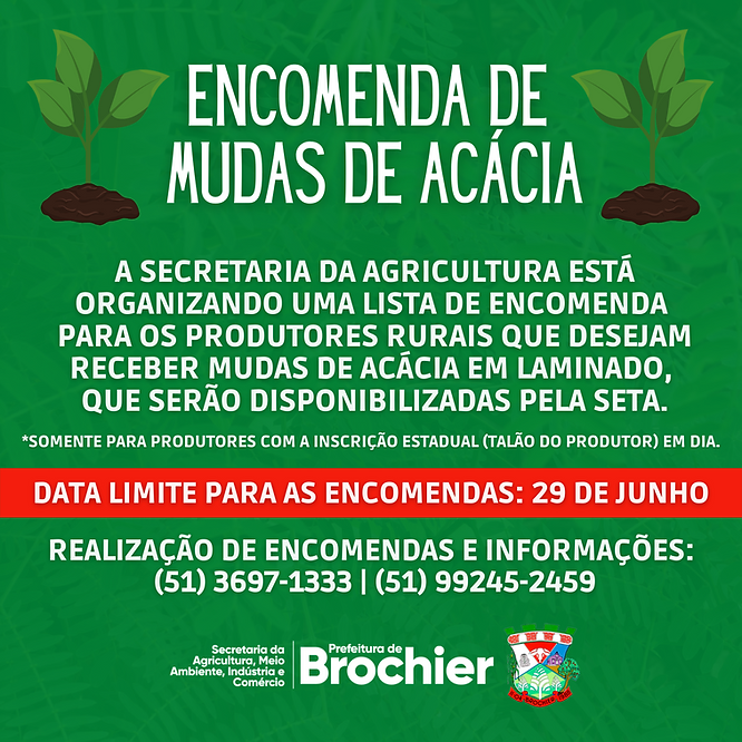 atencao-produtores-rurais-encomende-suas-mudas-de-acacia-na-smamaic