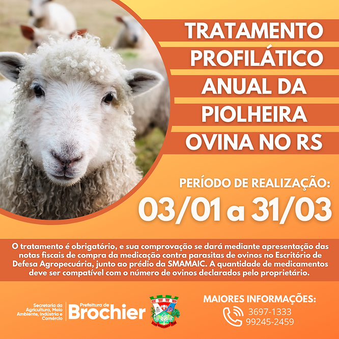 produtores-de-ovinos-atencao-para-o-tratamento-anual-da-piolheira-ovina