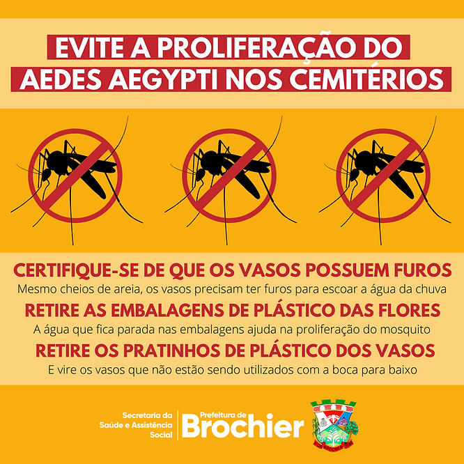 atencao-evite-a-proliferacao-do-aedes-aegypti-nos-cemiterios-de-brochier