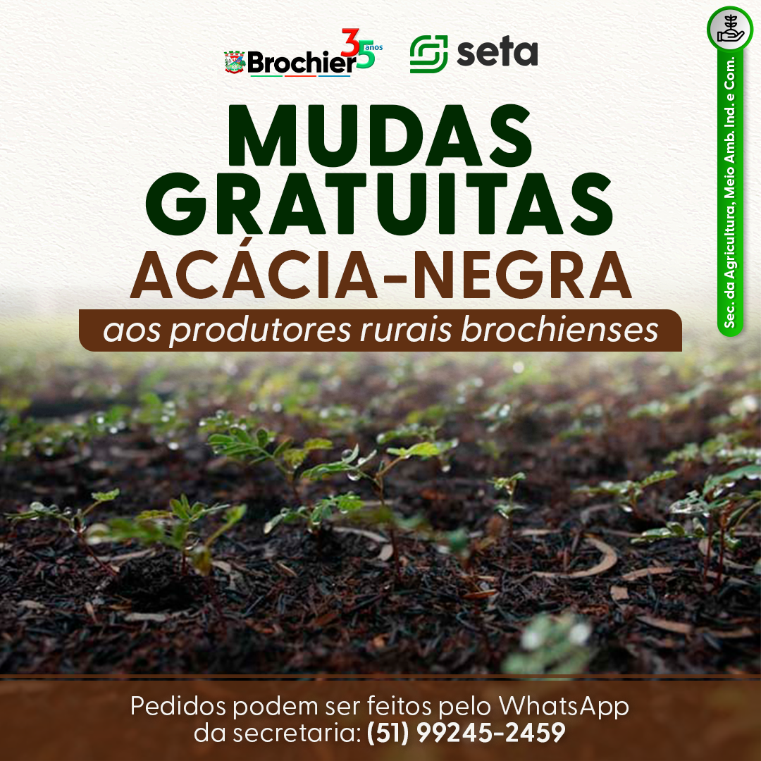 programa-de-fomento-florestal-seta-2023