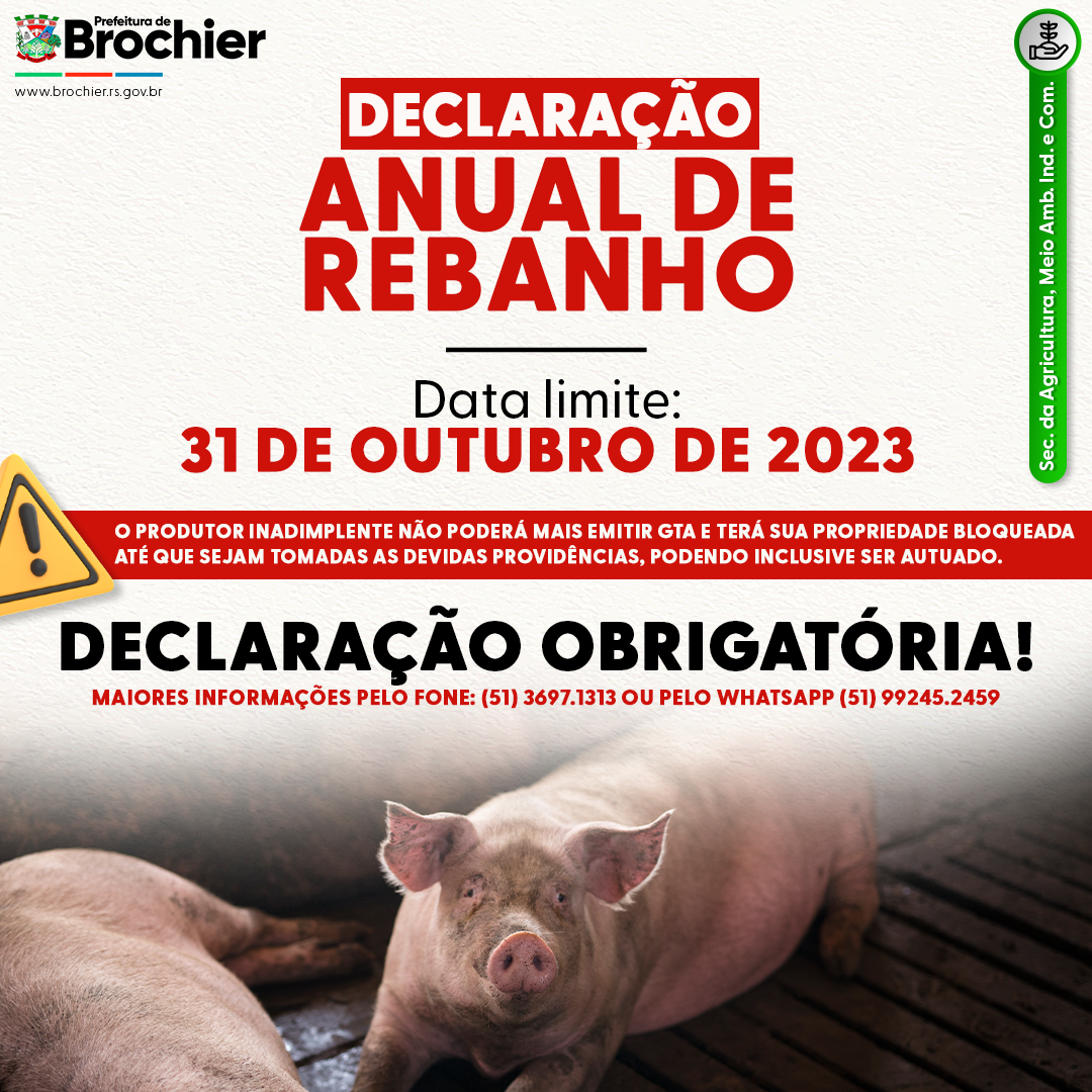 declaracao-do-rebanho-2023