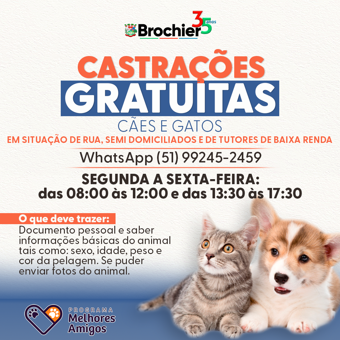 castracao-de-femeas-caninas-cadelas-e-felinas-gatas