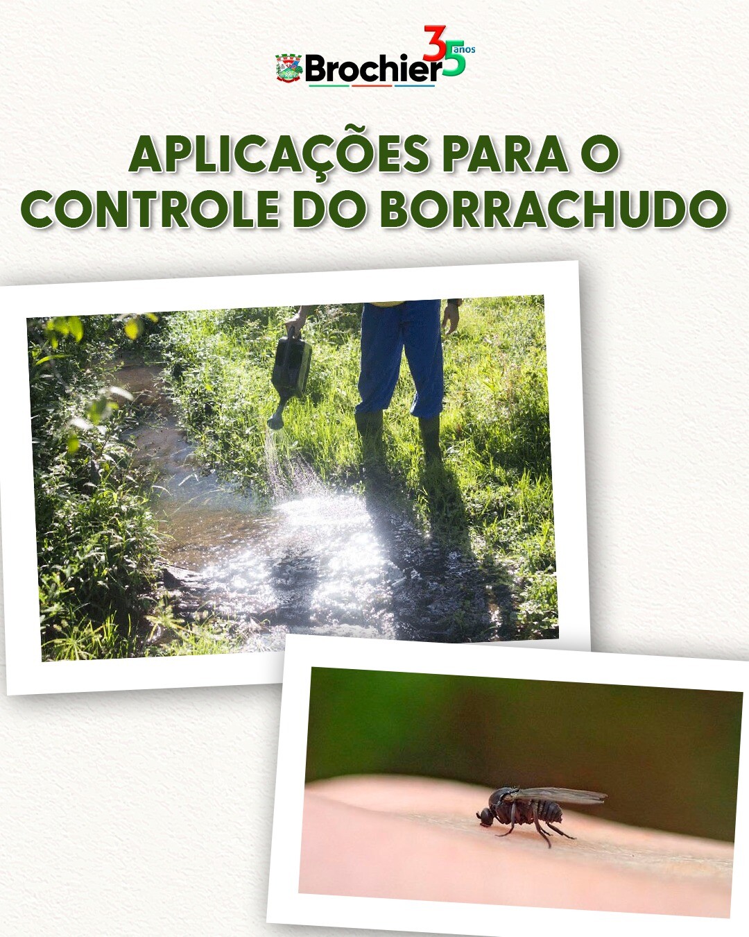 aplicacao-do-bti