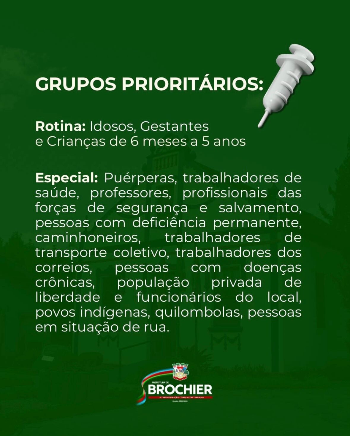estrategia-de-vacinacao-contra-a-influenza-em-brochier